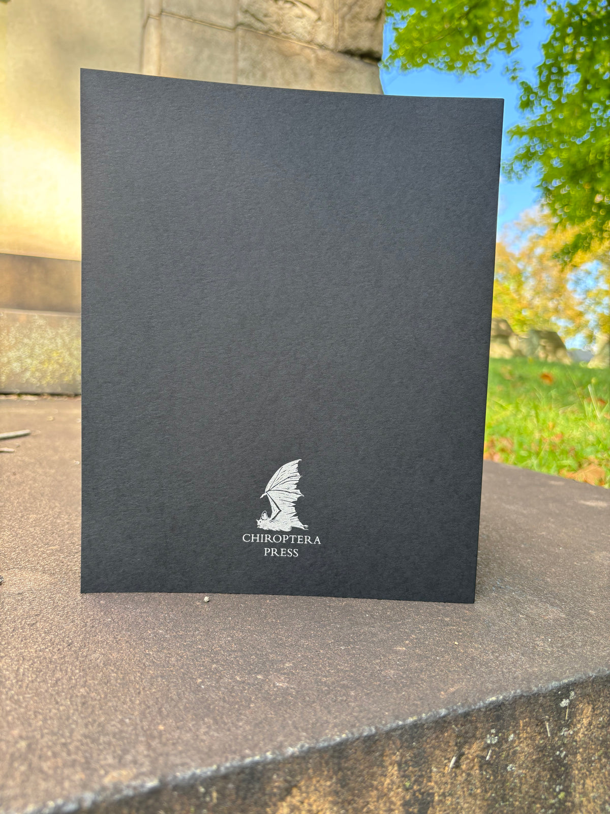 Cold Print by Ramsey Campbell - Lettered Edition