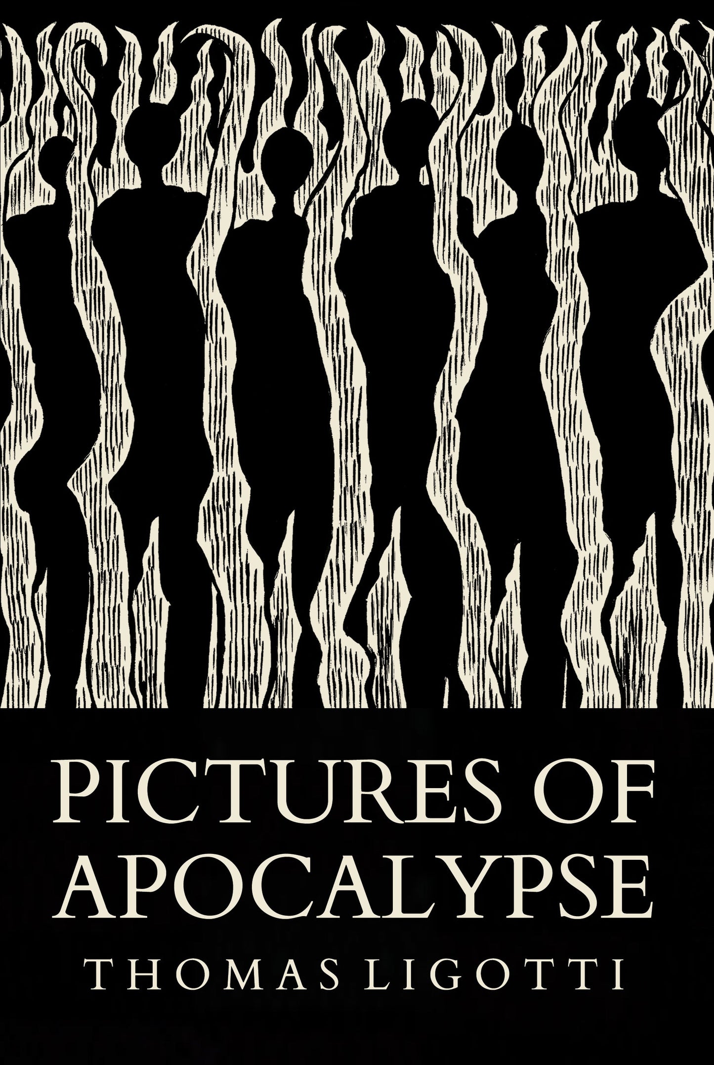 Pictures of Apocalypse and Paradoxes from Hell by Thomas Ligotti - Signed deluxe edition set